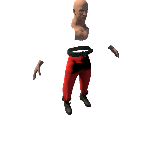 Pants_Head_Arm Variant